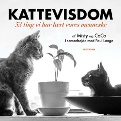 Kattevisdom: 53 ting vi har lært vores menneske