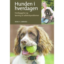 Hunden i hverdagen