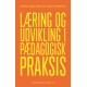 Læring og udvikling i pædagogisk praksis