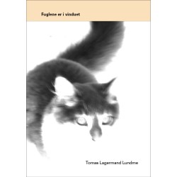 Fuglene er i vinduet: En monolog