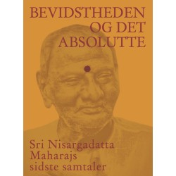 Bevidstheden og det Absolutte  -