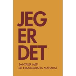 Jeg er DET: Samtaler med Sri Nisargadatta Maharaj