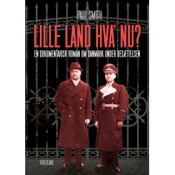Lille land, hvad nu?: En dokumentarisk roman om Danmark under besættelsen