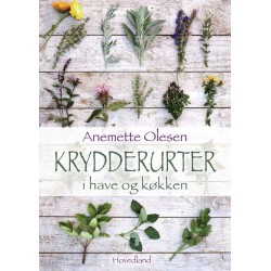 Krydderurter i have og køkken