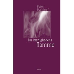 Du kærlighedens flamme: ni refleksioner om Helligånden