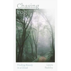 Chasing Fog: Finding Enchantment in a Cloud