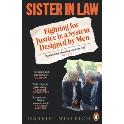 Sister in Law: Fighting for Justice in a System Designed by Men