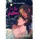 In the Shallows: LGBTQ+ second-chance romance by the author of TikTok favourite, AFTERLOVE