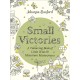 Small Victories: A Colouring Book of Little Wins and Miniature Masterpieces