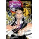 Demon Slayer: Kimetsu no Yaiba, Vol. 15