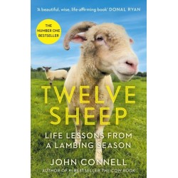 Twelve Sheep: Life lessons from a lambing season