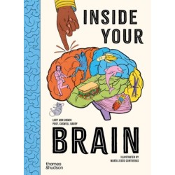 Inside Your Brain: 10 discoveries that reveal how the brain works