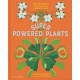 Superpowered Plants: Meet the Smartest, Strongest, and Sneakiest Plants