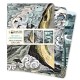 Angela Harding: Coastlines Set of 3 Standard Notebooks