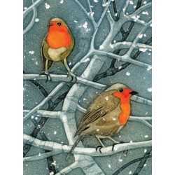 Wild Birds Pocket Notebook: Robin