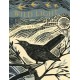 Wild Light: A printmaker’s day and night