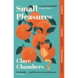 Small Pleasures: Longlisted for the Women's Prize for Fiction