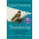 Thunderclap: A memoir of art and life & sudden death