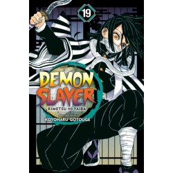 Demon Slayer: Kimetsu no Yaiba, Vol. 19