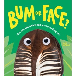 Bum or Face