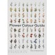 Flower Colour Guide