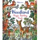 Woodland Magic Painting Book