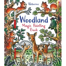 Woodland Magic Painting Book