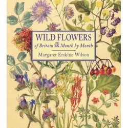 Wild Flowers of Britain: Month by Month