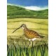 Wild Birds Pocket Notebook: Curlew
