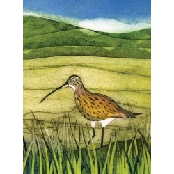 Wild Birds Pocket Notebook: Curlew