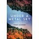 Under a Metal Sky: A Journey Through Minerals, Greed and Wonder