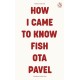 How I Came to Know Fish