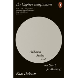 The Captive Imagination: Addiction, Reality and our Search for Meaning