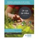 Modern Languages Study Guides: Un sac de billes: Literature Study Guide for AS/A-level French