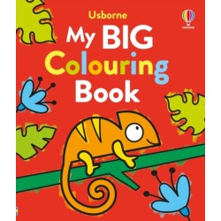 My Big Colouring Book