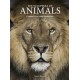 Encyclopedia of Animals
