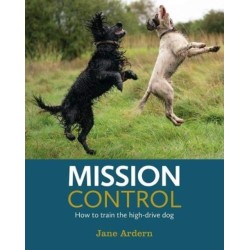 Mission Control: How to train the high-drive dog