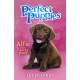Perfect Puppies Book 1
