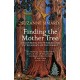 Finding the Mother Tree: Uncovering the Wisdom and Intelligence of the Forest