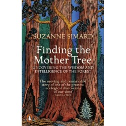 Finding the Mother Tree: Uncovering the Wisdom and Intelligence of the Forest