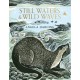 Still Waters & Wild Waves: from beloved illustrator and printmaker Angela Harding
