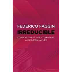 Irreducible: Consciousness, Life, Computers, and Human Nature