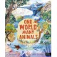 One World, Many Animals