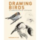 Drawing Birds: A Complete Step-by-Step Guide