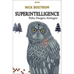 Superintelligence: Paths, Dangers, Strategies