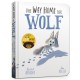 The The Way Home for Wolf Board Book: From The World of Rachel Bright & Jim Field
