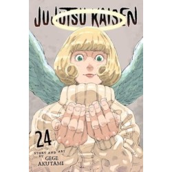 Jujutsu Kaisen, Vol. 24