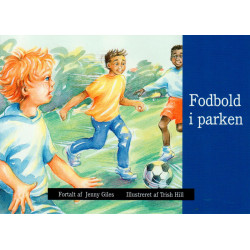 Fodbold i parken