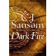 Dark Fire: A Compulsive Thriller of Treason and Deceit from the Bestselling Historical Series