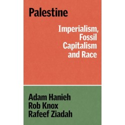 Resisting Erasure: Capital, Imperialism and Race in Palestine